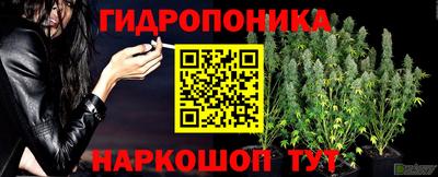 молекула духа Дубна