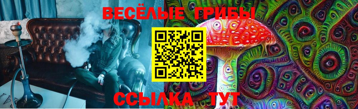 Галлюциногенные грибы мицелий  Вход с VPN  Междуреченск 