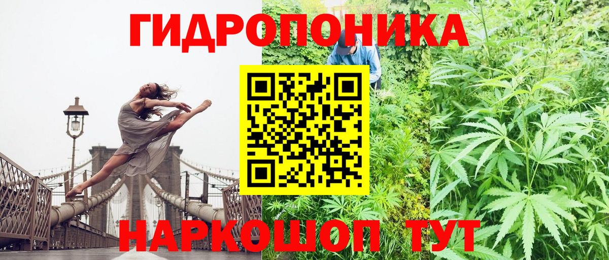 Канабис SATIVA & INDICA Междуреченск